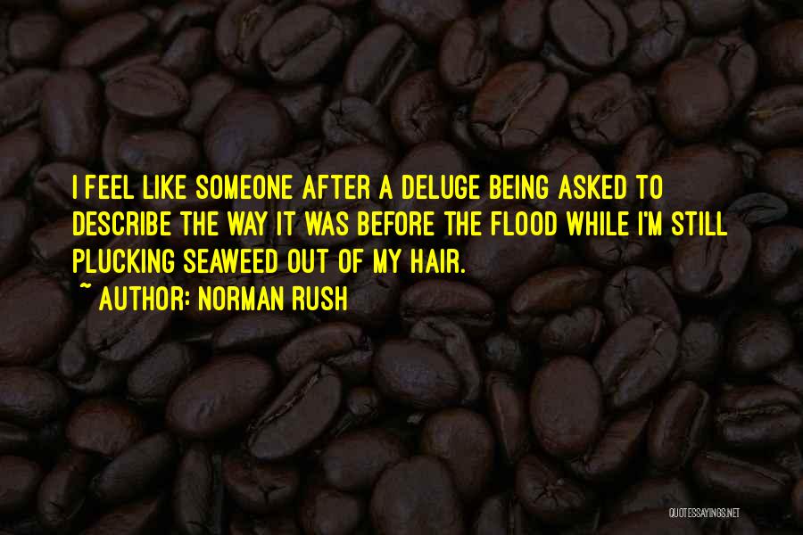 Norman Rush Quotes: I Feel Like Someone After A Deluge Being Asked To Describe The Way It Was Before The Flood While I'm