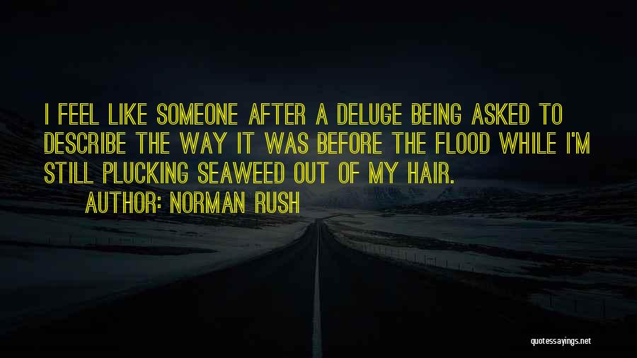 Norman Rush Quotes: I Feel Like Someone After A Deluge Being Asked To Describe The Way It Was Before The Flood While I'm