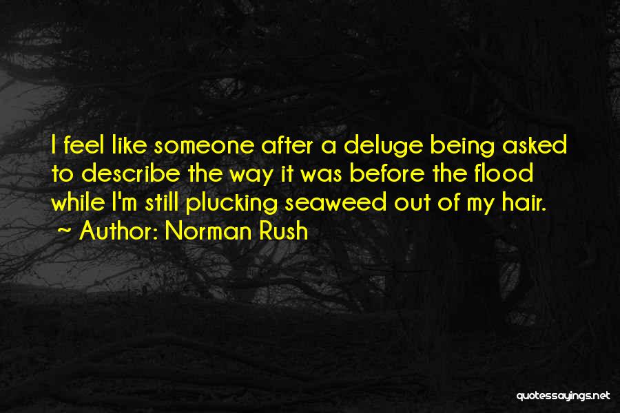 Norman Rush Quotes: I Feel Like Someone After A Deluge Being Asked To Describe The Way It Was Before The Flood While I'm