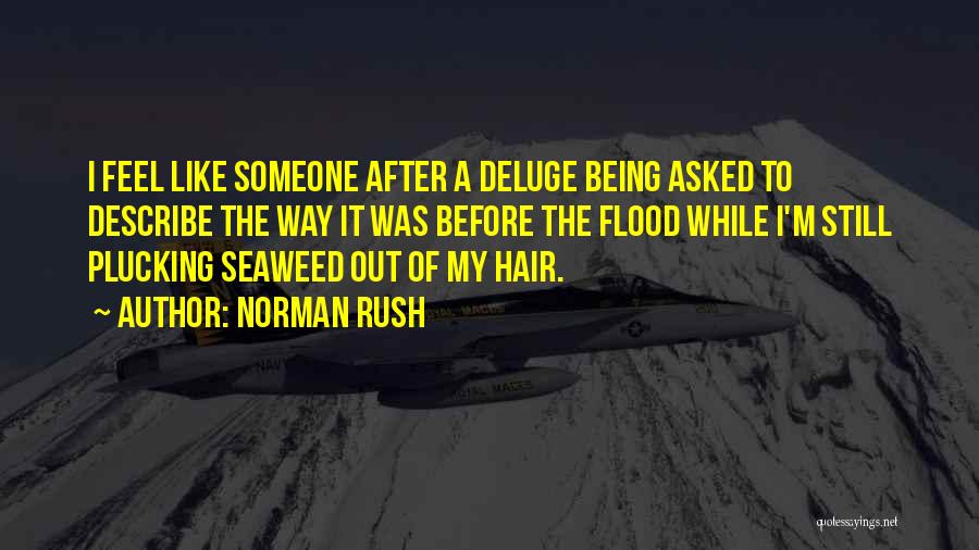 Norman Rush Quotes: I Feel Like Someone After A Deluge Being Asked To Describe The Way It Was Before The Flood While I'm