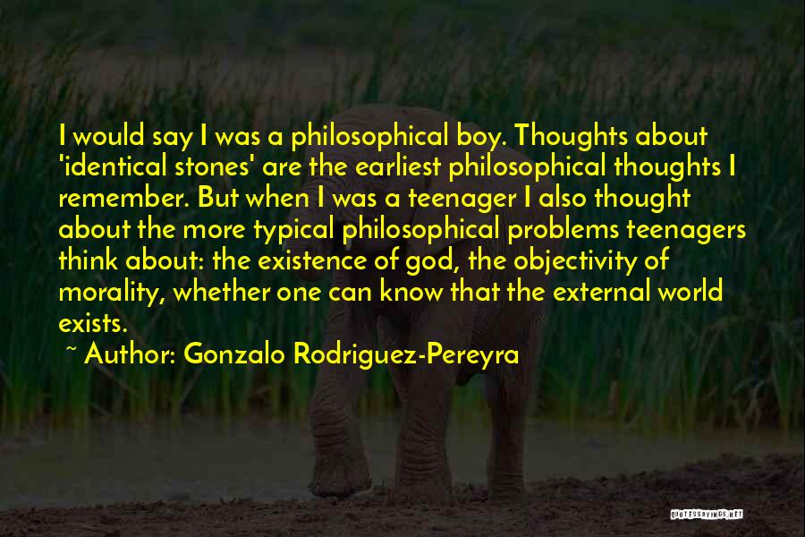 Gonzalo Rodriguez-Pereyra Quotes: I Would Say I Was A Philosophical Boy. Thoughts About 'identical Stones' Are The Earliest Philosophical Thoughts I Remember. But