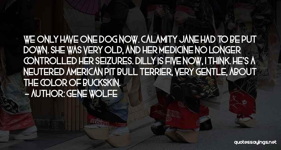Gene Wolfe Quotes: We Only Have One Dog Now. Calamity Jane Had To Be Put Down. She Was Very Old, And Her Medicine