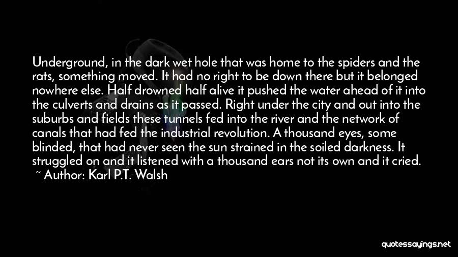 Karl P.T. Walsh Quotes: Underground, In The Dark Wet Hole That Was Home To The Spiders And The Rats, Something Moved. It Had No