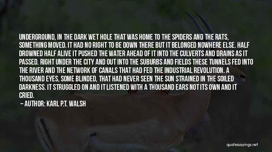 Karl P.T. Walsh Quotes: Underground, In The Dark Wet Hole That Was Home To The Spiders And The Rats, Something Moved. It Had No