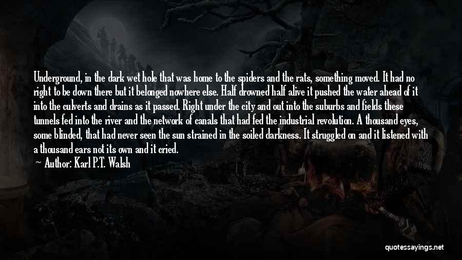 Karl P.T. Walsh Quotes: Underground, In The Dark Wet Hole That Was Home To The Spiders And The Rats, Something Moved. It Had No