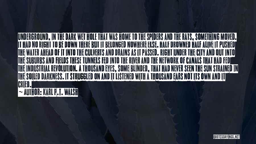 Karl P.T. Walsh Quotes: Underground, In The Dark Wet Hole That Was Home To The Spiders And The Rats, Something Moved. It Had No