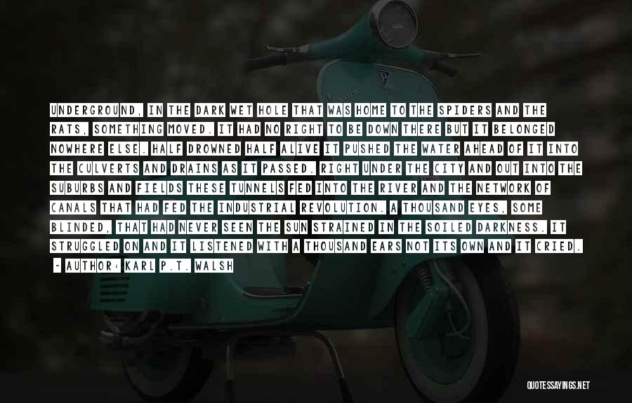 Karl P.T. Walsh Quotes: Underground, In The Dark Wet Hole That Was Home To The Spiders And The Rats, Something Moved. It Had No