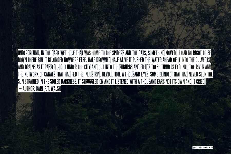 Karl P.T. Walsh Quotes: Underground, In The Dark Wet Hole That Was Home To The Spiders And The Rats, Something Moved. It Had No