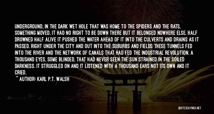 Karl P.T. Walsh Quotes: Underground, In The Dark Wet Hole That Was Home To The Spiders And The Rats, Something Moved. It Had No