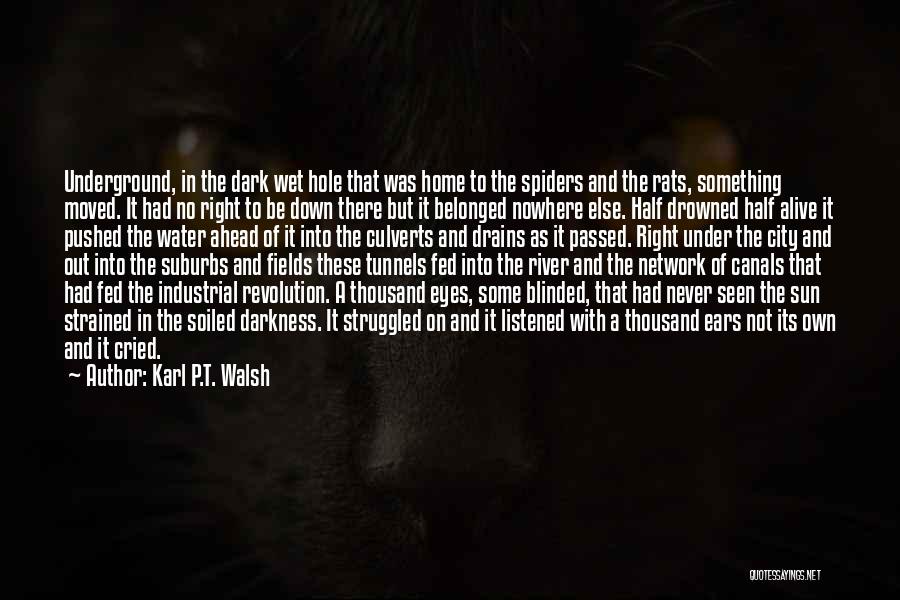 Karl P.T. Walsh Quotes: Underground, In The Dark Wet Hole That Was Home To The Spiders And The Rats, Something Moved. It Had No