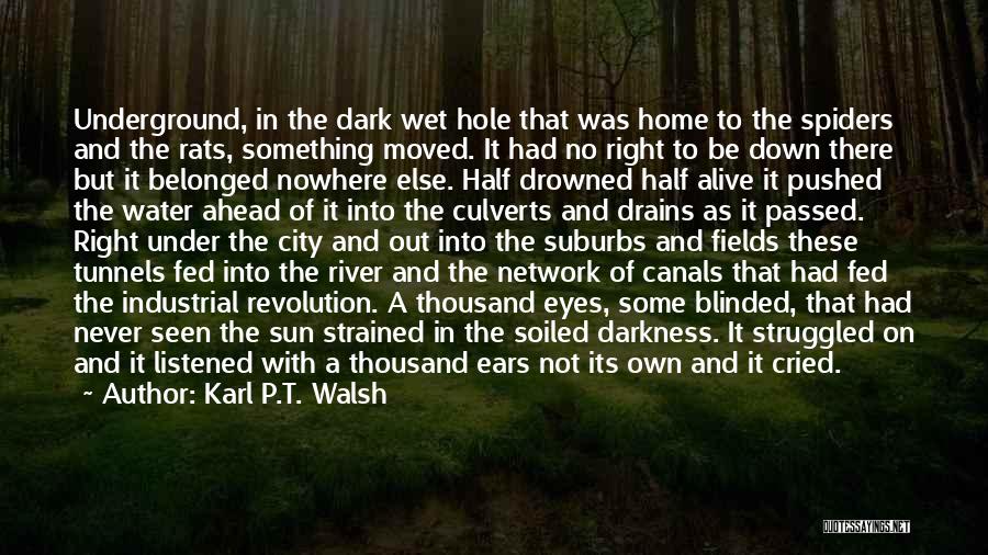 Karl P.T. Walsh Quotes: Underground, In The Dark Wet Hole That Was Home To The Spiders And The Rats, Something Moved. It Had No