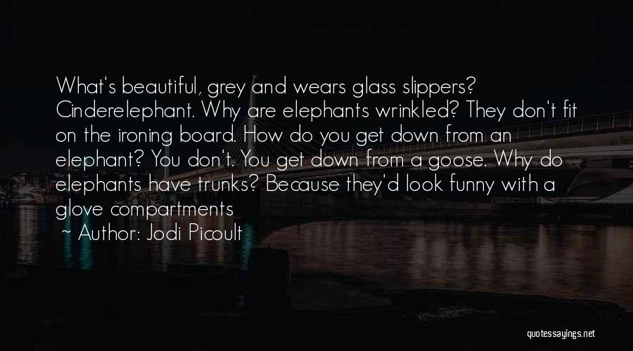Jodi Picoult Quotes: What's Beautiful, Grey And Wears Glass Slippers? Cinderelephant. Why Are Elephants Wrinkled? They Don't Fit On The Ironing Board. How