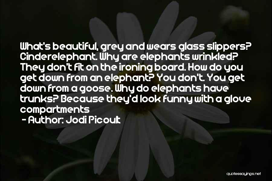 Jodi Picoult Quotes: What's Beautiful, Grey And Wears Glass Slippers? Cinderelephant. Why Are Elephants Wrinkled? They Don't Fit On The Ironing Board. How
