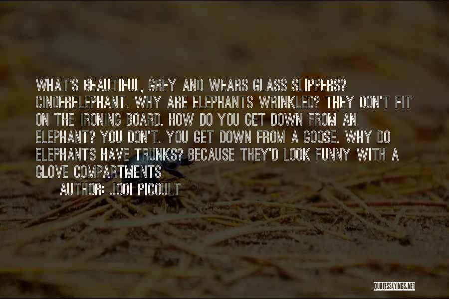 Jodi Picoult Quotes: What's Beautiful, Grey And Wears Glass Slippers? Cinderelephant. Why Are Elephants Wrinkled? They Don't Fit On The Ironing Board. How