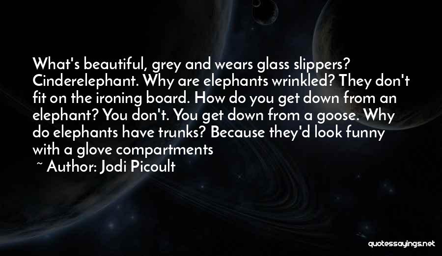 Jodi Picoult Quotes: What's Beautiful, Grey And Wears Glass Slippers? Cinderelephant. Why Are Elephants Wrinkled? They Don't Fit On The Ironing Board. How