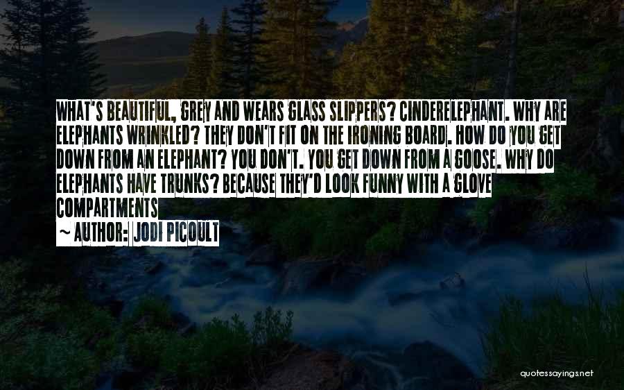 Jodi Picoult Quotes: What's Beautiful, Grey And Wears Glass Slippers? Cinderelephant. Why Are Elephants Wrinkled? They Don't Fit On The Ironing Board. How