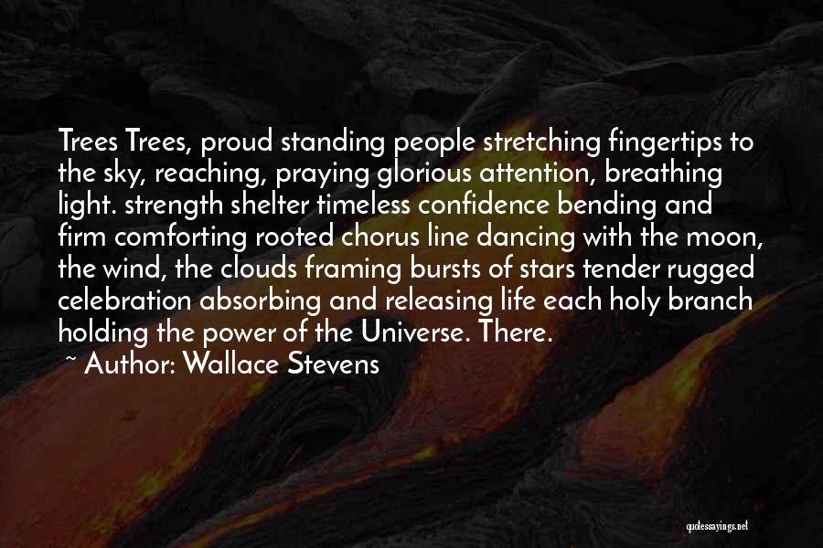 Wallace Stevens Quotes: Trees Trees, Proud Standing People Stretching Fingertips To The Sky, Reaching, Praying Glorious Attention, Breathing Light. Strength Shelter Timeless Confidence