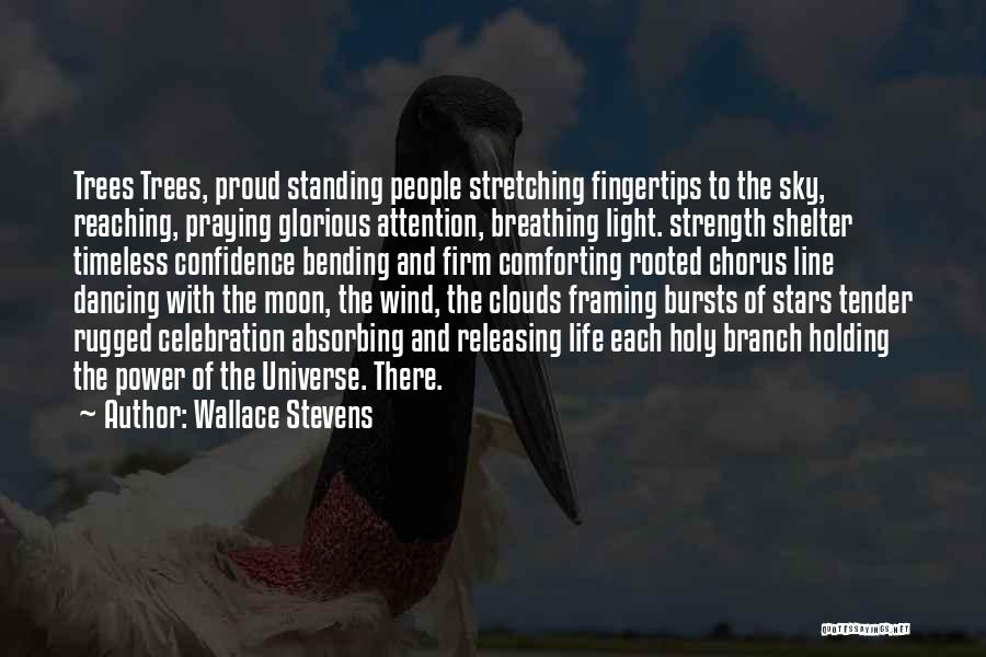 Wallace Stevens Quotes: Trees Trees, Proud Standing People Stretching Fingertips To The Sky, Reaching, Praying Glorious Attention, Breathing Light. Strength Shelter Timeless Confidence