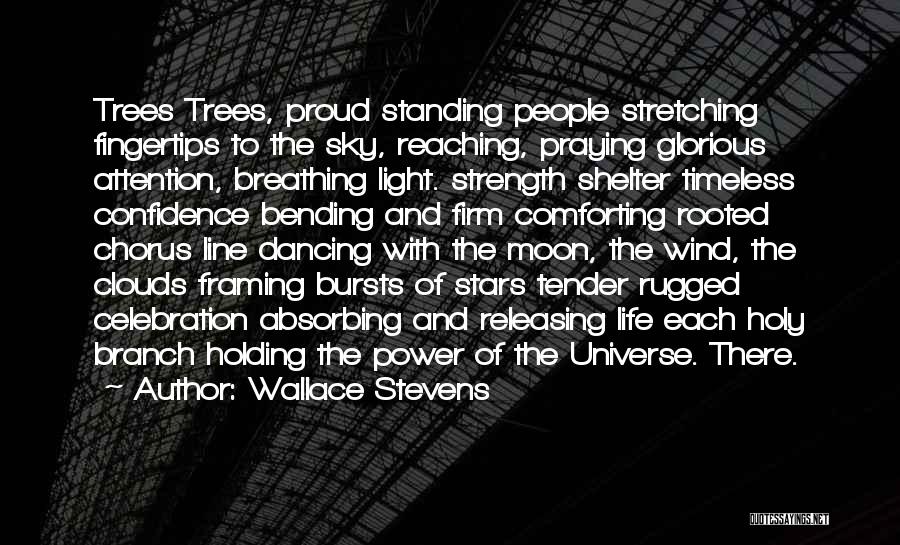 Wallace Stevens Quotes: Trees Trees, Proud Standing People Stretching Fingertips To The Sky, Reaching, Praying Glorious Attention, Breathing Light. Strength Shelter Timeless Confidence
