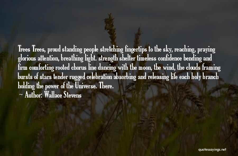 Wallace Stevens Quotes: Trees Trees, Proud Standing People Stretching Fingertips To The Sky, Reaching, Praying Glorious Attention, Breathing Light. Strength Shelter Timeless Confidence