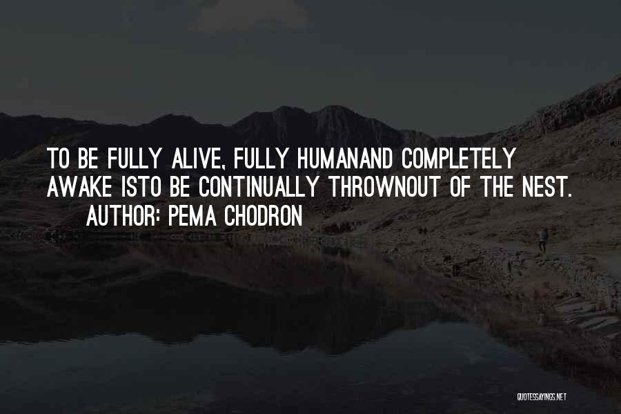 Pema Chodron Quotes: To Be Fully Alive, Fully Humanand Completely Awake Isto Be Continually Thrownout Of The Nest.