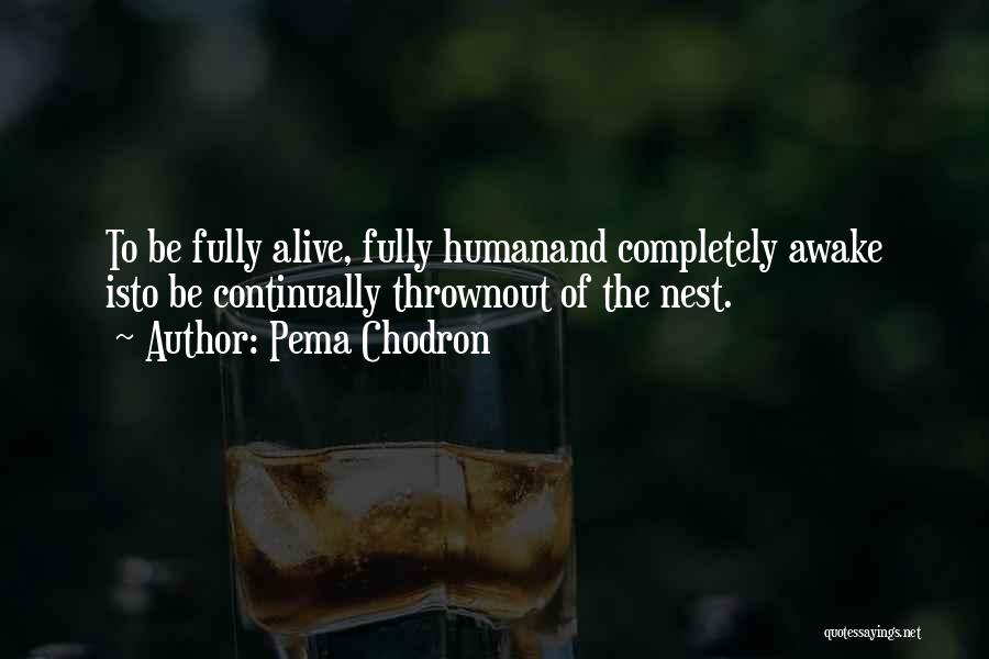 Pema Chodron Quotes: To Be Fully Alive, Fully Humanand Completely Awake Isto Be Continually Thrownout Of The Nest.