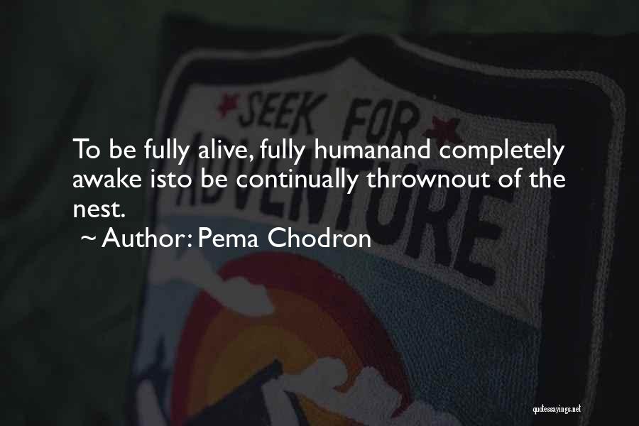 Pema Chodron Quotes: To Be Fully Alive, Fully Humanand Completely Awake Isto Be Continually Thrownout Of The Nest.