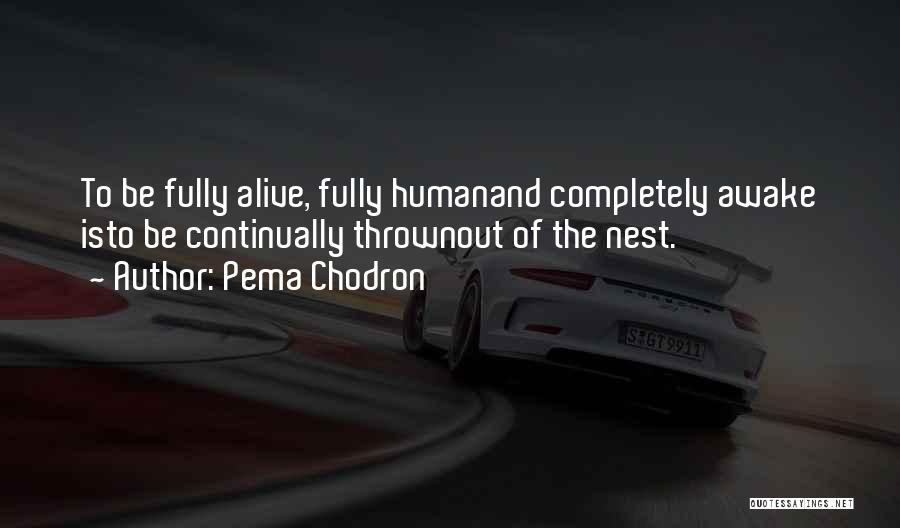 Pema Chodron Quotes: To Be Fully Alive, Fully Humanand Completely Awake Isto Be Continually Thrownout Of The Nest.