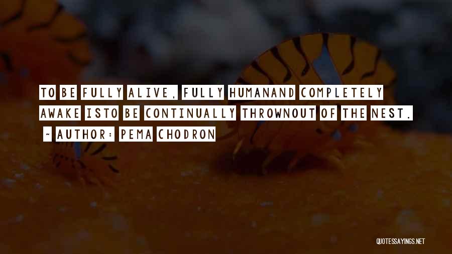 Pema Chodron Quotes: To Be Fully Alive, Fully Humanand Completely Awake Isto Be Continually Thrownout Of The Nest.