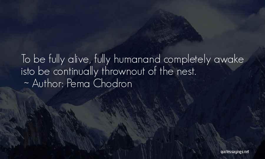 Pema Chodron Quotes: To Be Fully Alive, Fully Humanand Completely Awake Isto Be Continually Thrownout Of The Nest.