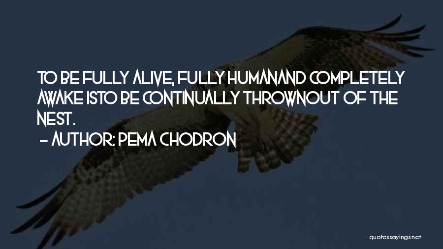 Pema Chodron Quotes: To Be Fully Alive, Fully Humanand Completely Awake Isto Be Continually Thrownout Of The Nest.