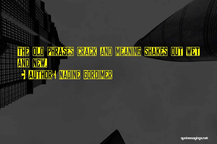 Nadine Gordimer Quotes: The Old Phrases Crack And Meaning Shakes Out Wet And New.