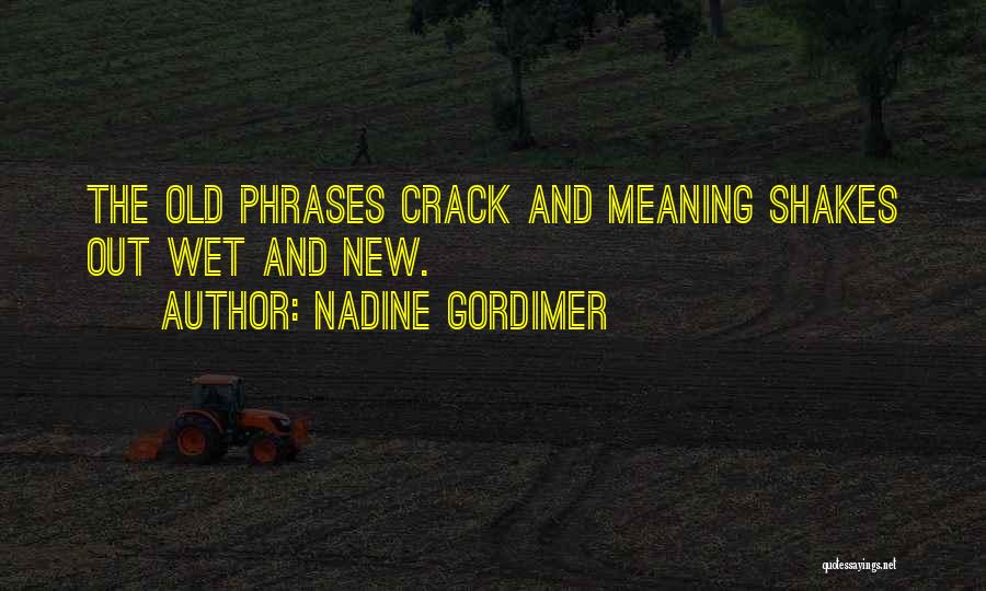 Nadine Gordimer Quotes: The Old Phrases Crack And Meaning Shakes Out Wet And New.