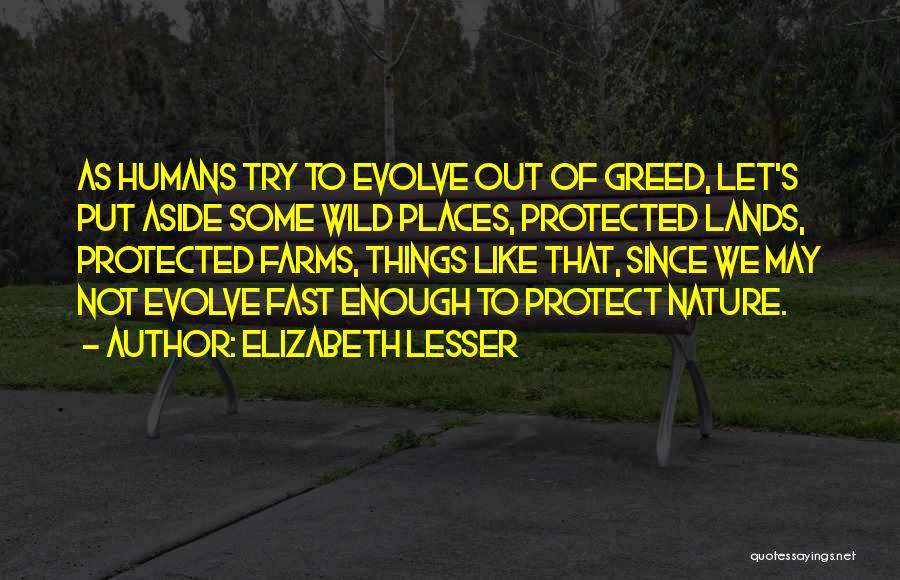 Elizabeth Lesser Quotes: As Humans Try To Evolve Out Of Greed, Let's Put Aside Some Wild Places, Protected Lands, Protected Farms, Things Like