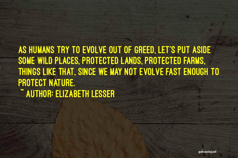Elizabeth Lesser Quotes: As Humans Try To Evolve Out Of Greed, Let's Put Aside Some Wild Places, Protected Lands, Protected Farms, Things Like