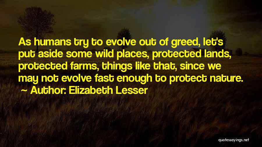 Elizabeth Lesser Quotes: As Humans Try To Evolve Out Of Greed, Let's Put Aside Some Wild Places, Protected Lands, Protected Farms, Things Like