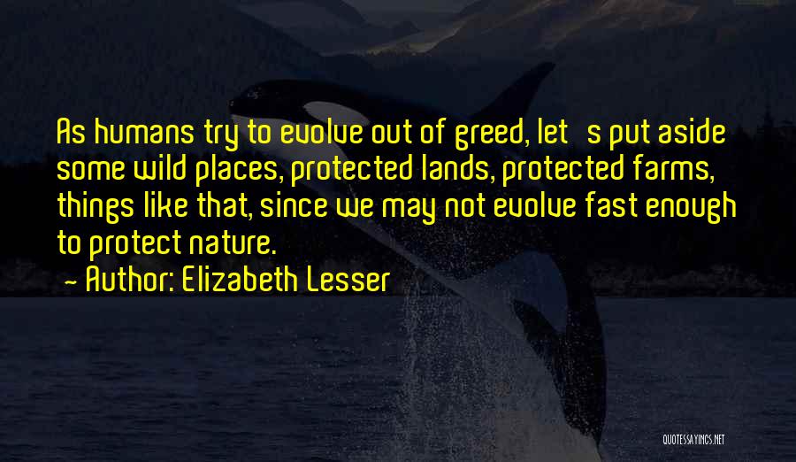 Elizabeth Lesser Quotes: As Humans Try To Evolve Out Of Greed, Let's Put Aside Some Wild Places, Protected Lands, Protected Farms, Things Like