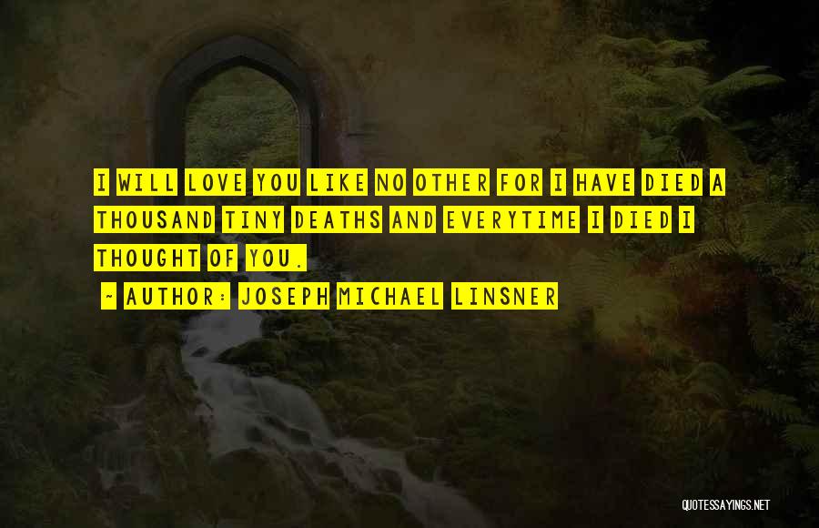 Joseph Michael Linsner Quotes: I Will Love You Like No Other For I Have Died A Thousand Tiny Deaths And Everytime I Died I