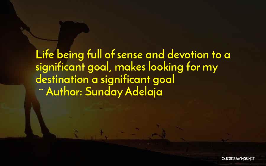 Sunday Adelaja Quotes: Life Being Full Of Sense And Devotion To A Significant Goal, Makes Looking For My Destination A Significant Goal