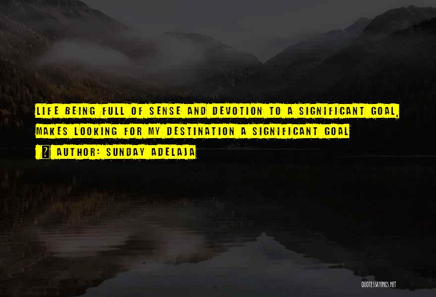 Sunday Adelaja Quotes: Life Being Full Of Sense And Devotion To A Significant Goal, Makes Looking For My Destination A Significant Goal