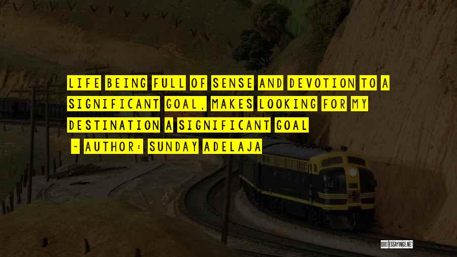 Sunday Adelaja Quotes: Life Being Full Of Sense And Devotion To A Significant Goal, Makes Looking For My Destination A Significant Goal