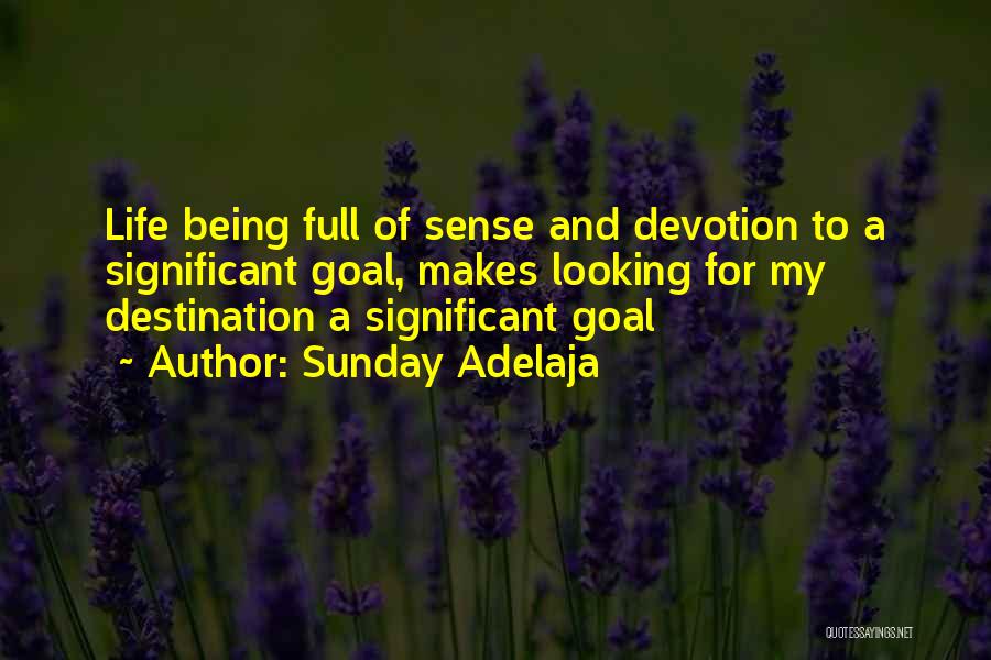 Sunday Adelaja Quotes: Life Being Full Of Sense And Devotion To A Significant Goal, Makes Looking For My Destination A Significant Goal