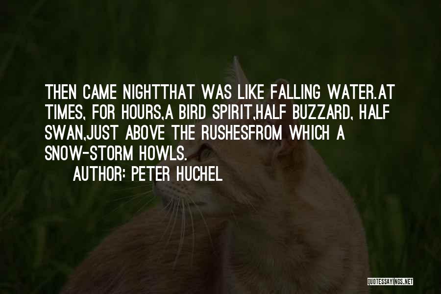 Peter Huchel Quotes: Then Came Nightthat Was Like Falling Water.at Times, For Hours,a Bird Spirit,half Buzzard, Half Swan,just Above The Rushesfrom Which A