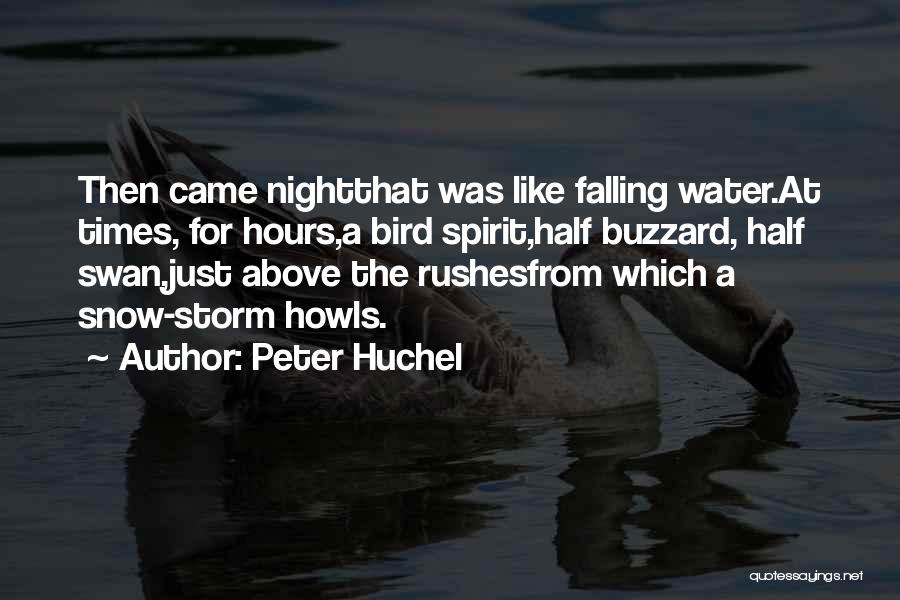 Peter Huchel Quotes: Then Came Nightthat Was Like Falling Water.at Times, For Hours,a Bird Spirit,half Buzzard, Half Swan,just Above The Rushesfrom Which A