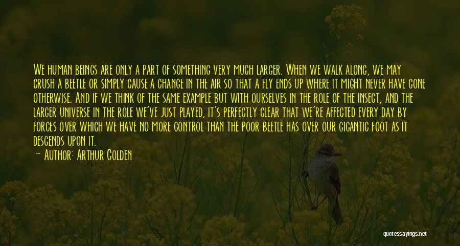 Arthur Golden Quotes: We Human Beings Are Only A Part Of Something Very Much Larger. When We Walk Along, We May Crush A