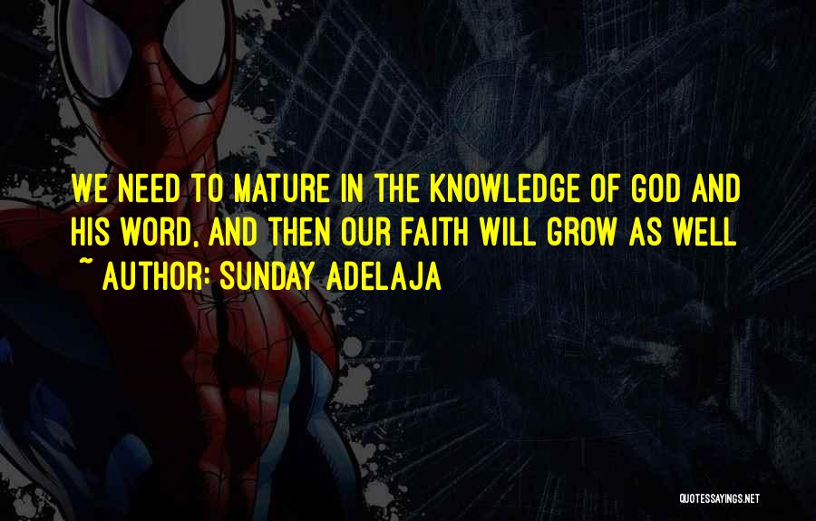 Sunday Adelaja Quotes: We Need To Mature In The Knowledge Of God And His Word, And Then Our Faith Will Grow As Well