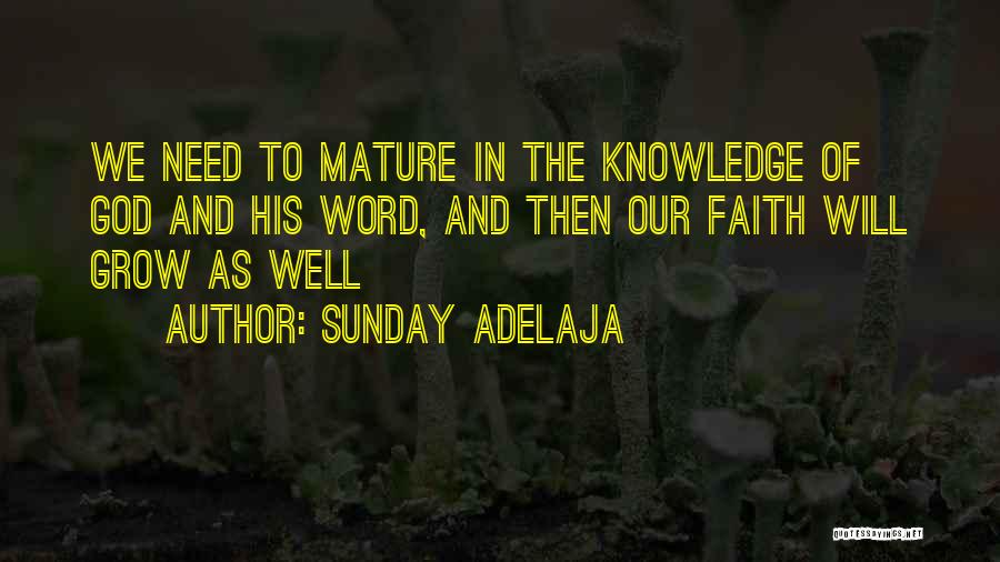Sunday Adelaja Quotes: We Need To Mature In The Knowledge Of God And His Word, And Then Our Faith Will Grow As Well