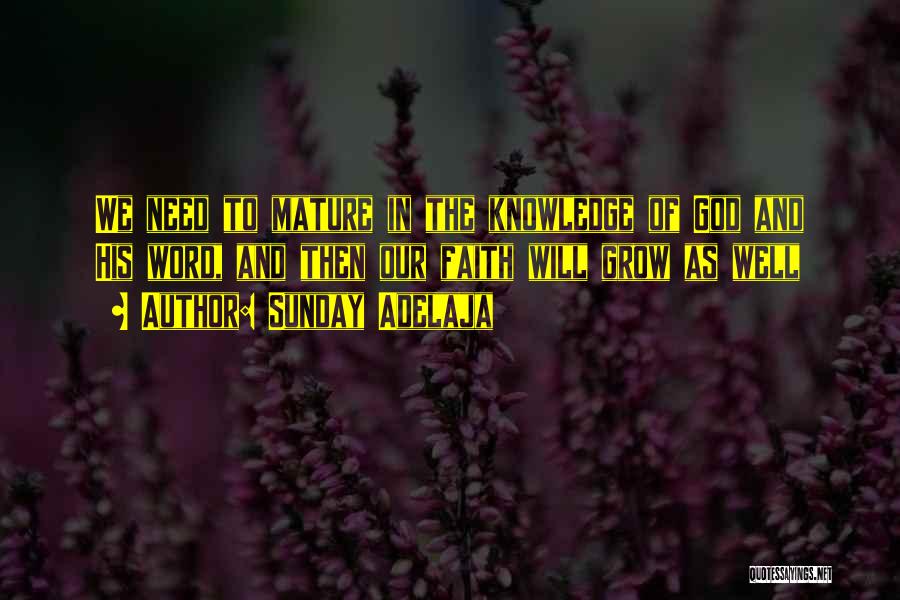 Sunday Adelaja Quotes: We Need To Mature In The Knowledge Of God And His Word, And Then Our Faith Will Grow As Well
