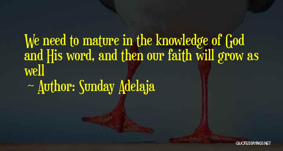 Sunday Adelaja Quotes: We Need To Mature In The Knowledge Of God And His Word, And Then Our Faith Will Grow As Well