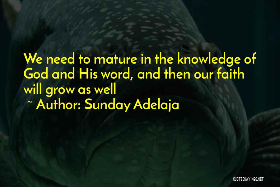 Sunday Adelaja Quotes: We Need To Mature In The Knowledge Of God And His Word, And Then Our Faith Will Grow As Well